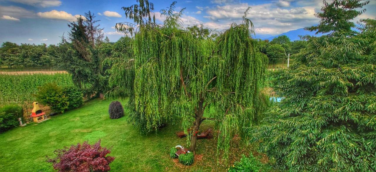Bed & Breakfast Milu Cuneo Zewnętrze zdjęcie