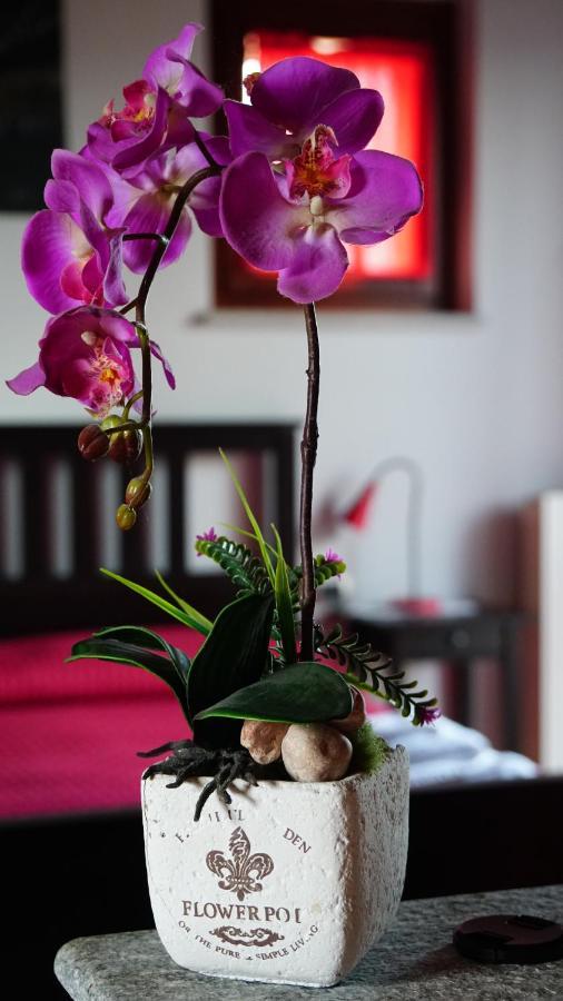 Bed & Breakfast Milu Cuneo Zewnętrze zdjęcie